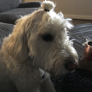 Fundraising Page: Roxanne Nurenberg